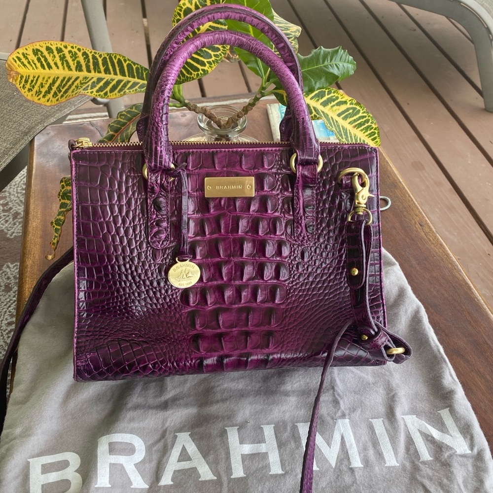 Brahmin authentic